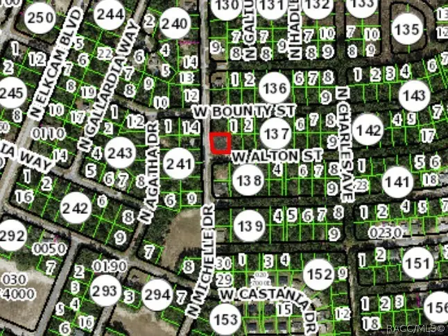 9601 N Mitchelle Drive, Citrus Springs, FL 34434 - #3