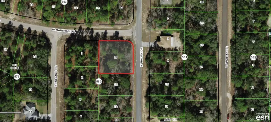 8854 N Trojan Drive, Citrus Springs, FL 34433 - #2