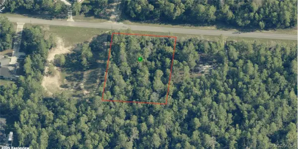 4272 W Banner Circle, Dunnellon, FL 34433
