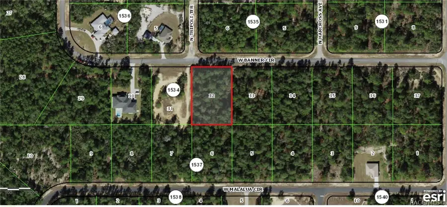 4272 W Banner Circle, Dunnellon, FL 34433 - #2