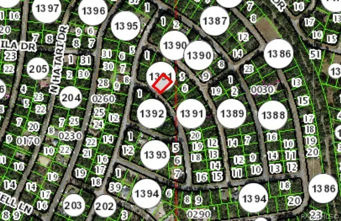 10725 N Malva Way, Dunnellon, FL 34434 - #3