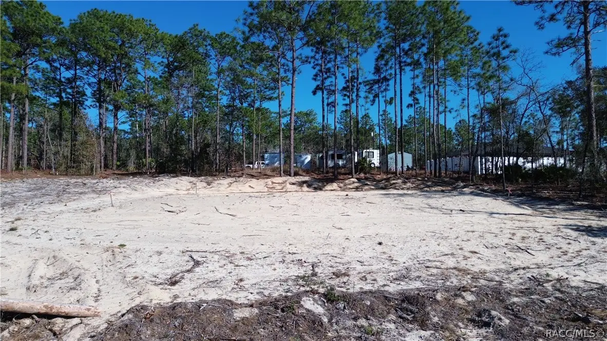 7291 N Gibralter Drive, Citrus Springs, FL 34434 - #1