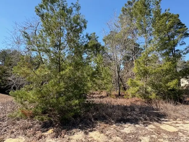 23 Tall Marigolds Court, Homosassa, FL 34446 - #2