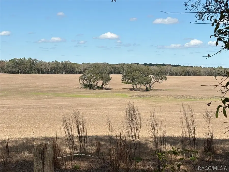 TBD SW 69th Place, Other, FL 34431 - #2