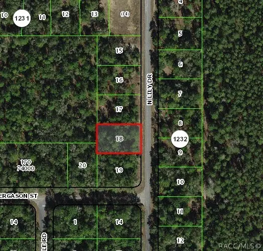 9538 N Lily Drive, Citrus Springs, FL 34434