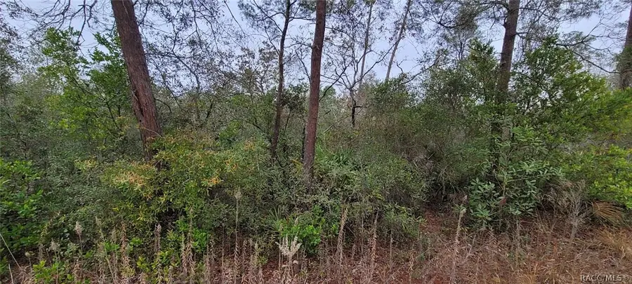 6345 N Polar Point, Dunnellon, FL 34433 - #3