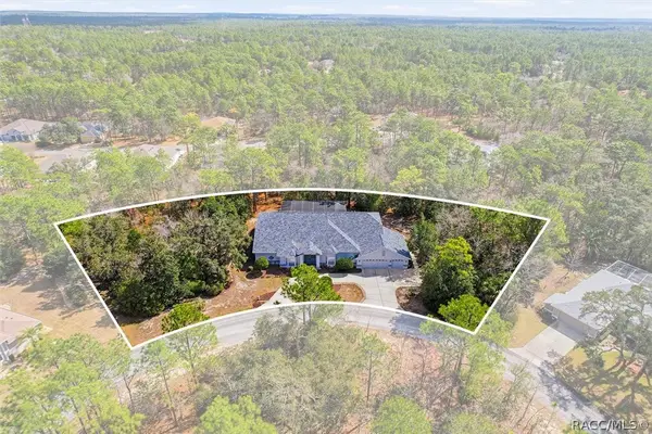 16 Drypetes Court E, Homosassa, FL 34446