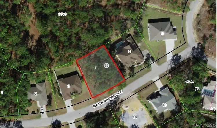 8 Maidenbush Court E, Homosassa, FL 34446 - #1