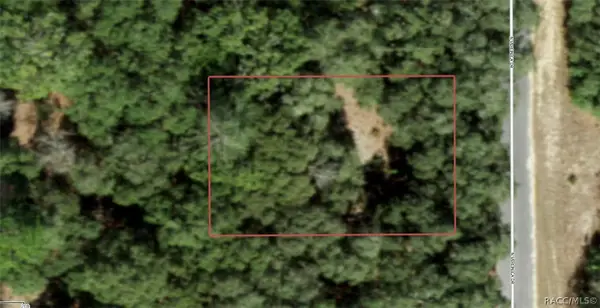 7120 N Veronica Drive, Dunnellon, FL 34433