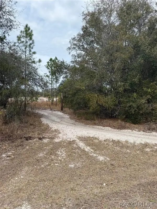 8309 N Odyssey Drive, Crystal River, FL 34428