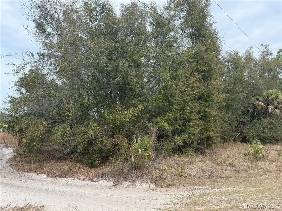 8309 N Odyssey Drive, Crystal River, FL 34428 - #3