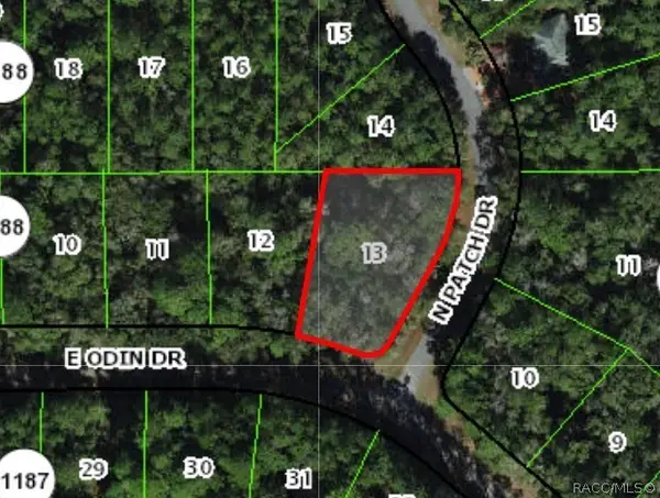 1173 E Odin Drive, Dunnellon, FL 34434