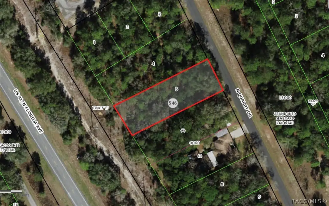 9756 N Quarry Drive, Dunnellon, FL 34434 - #1