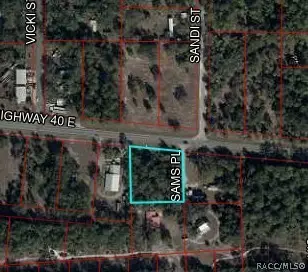0 Highway 40 E, Inglis, FL 34449 - #2