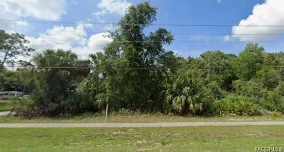 0 Highway 40 E, Inglis, FL 34449 - #3