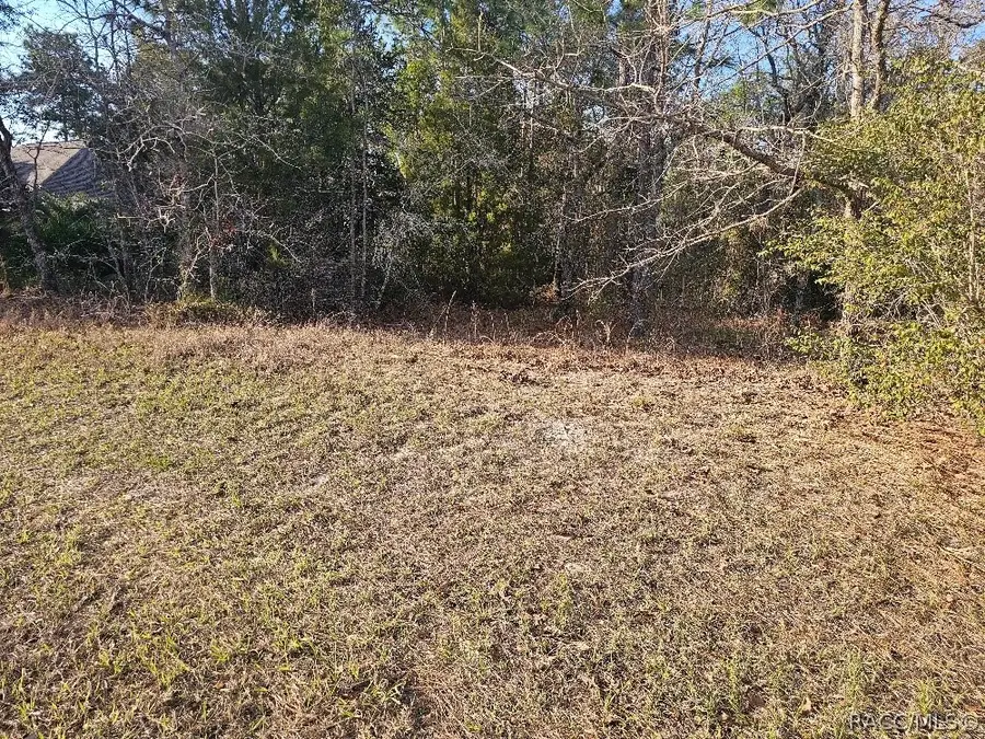 34 Torenia Verbenas Court, Homosassa, FL 34446 - #3