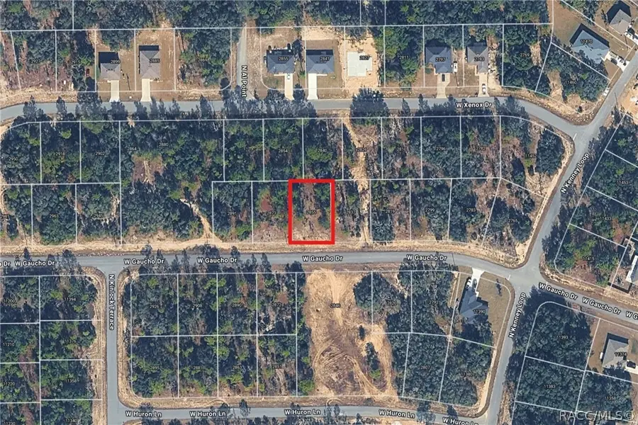 2855 W Gaucho Drive, Citrus Springs, FL 34433 - #2