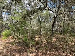 2910 Collins Street, Inverness, FL 34452 - #3