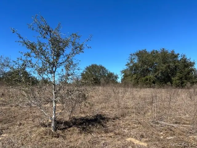 2251 E Otterbury Lane, Inverness, FL 34453 - #2