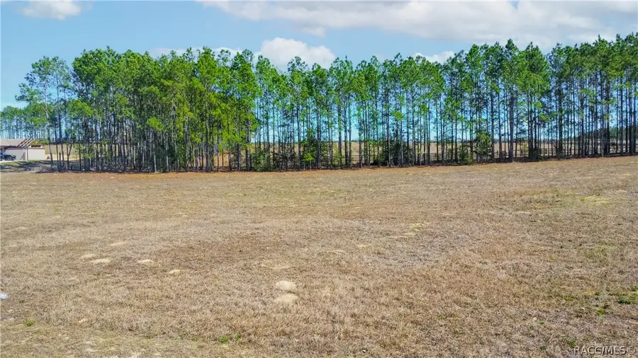374 N Lake Shenandoah Loop, Inverness, FL 34453 - #2
