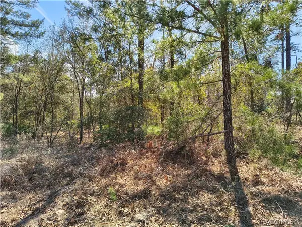 7340 N Veronica Drive, Dunnellon, FL 34433