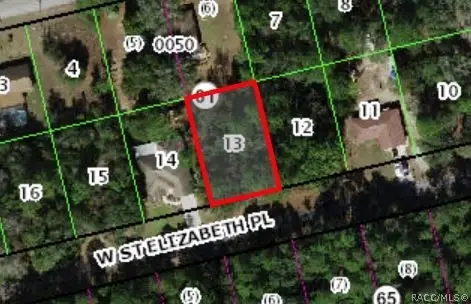 1391 W Saint Elizabeth Place, Citrus Springs, FL 34434