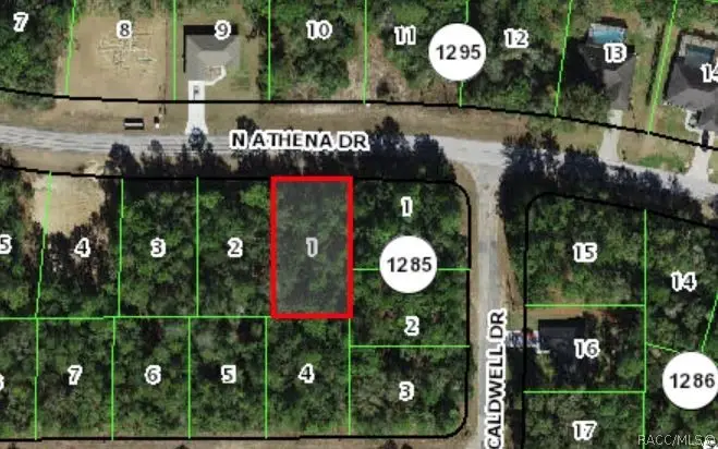 10040 N Athenia Drive, Citrus Springs, FL 34434 - #1