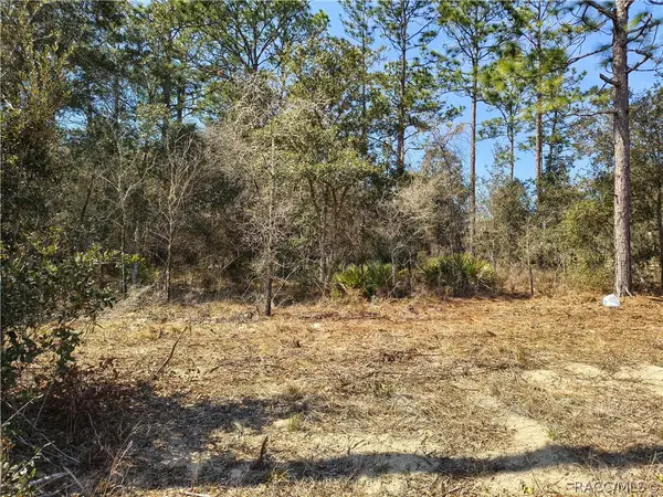 7041 N Maltese Drive, Citrus Springs, FL 34433