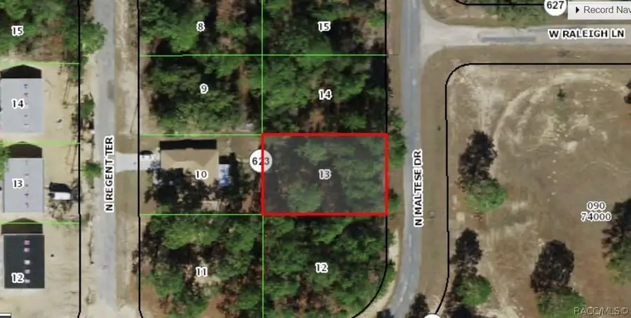 7041 N Maltese Drive, Citrus Springs, FL 34433 - #2