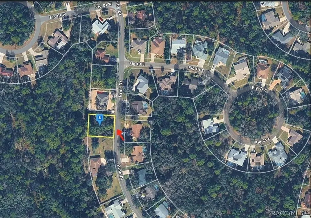 32 Pine Drive, Homosassa, FL 34446 - #1