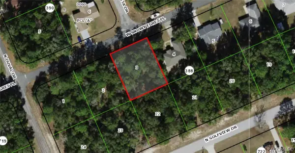 2070 W Snowy Egret Place, Dunnellon, FL 34434