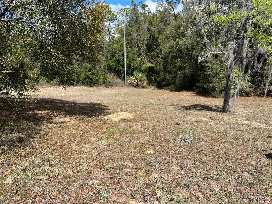 420 Cabot Street, Inverness, FL 34452 - #3