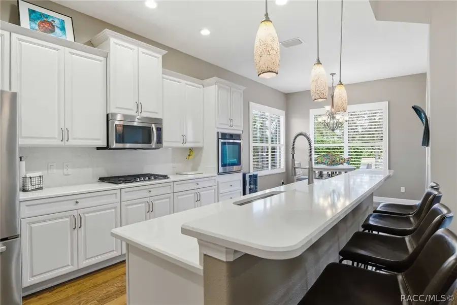 1251 W Skyview Crossing Drive, Hernando, FL 34442 - #2