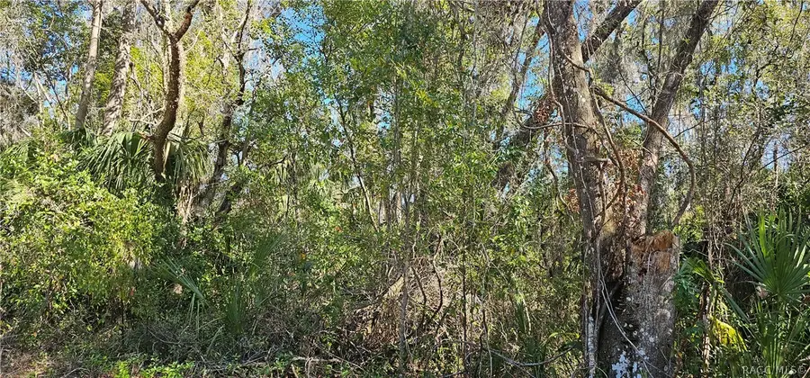 939 N Sonia Avenue, Inverness, FL 34453 - #2