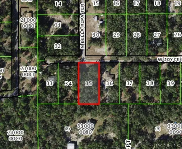 8934 Joyce Lane, Crystal River, FL 34428 - #1