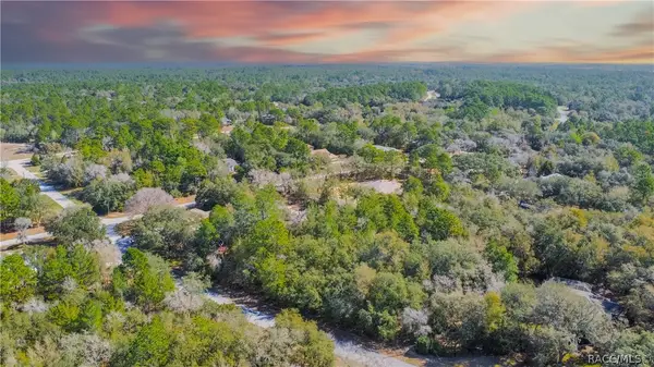 4845 N Goldwood Terrace, Beverly Hills, FL 34465