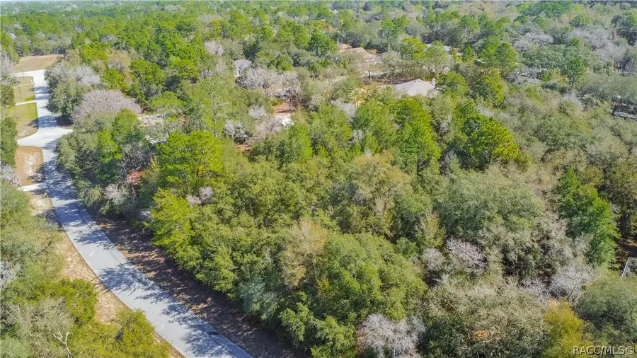 4845 N Goldwood Terrace, Beverly Hills, FL 34465 - #3