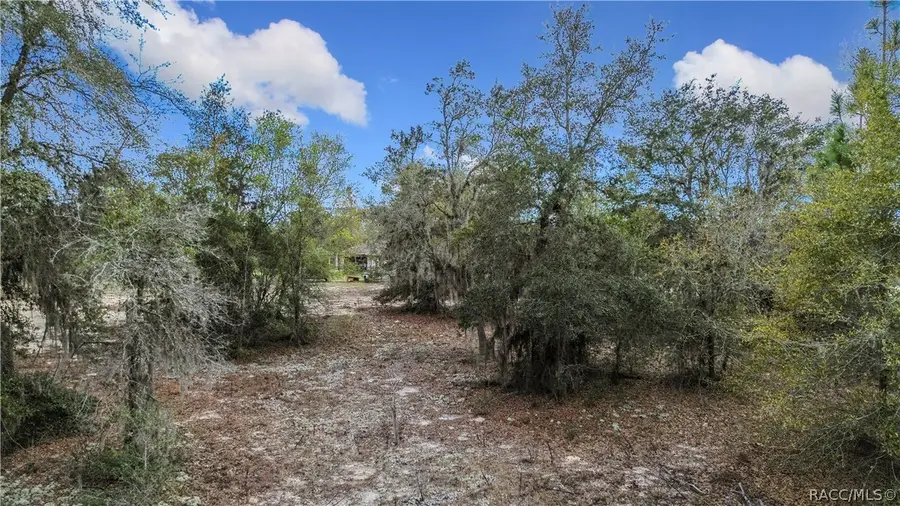 11893 N Pan-an Terrace, Dunnellon, FL 34433 - #2
