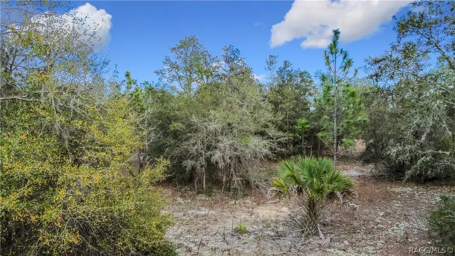 11893 N Pan-an Terrace, Dunnellon, FL 34433 - #3