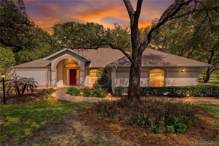 197 E Joplin Court, Hernando, FL 34442 - #2