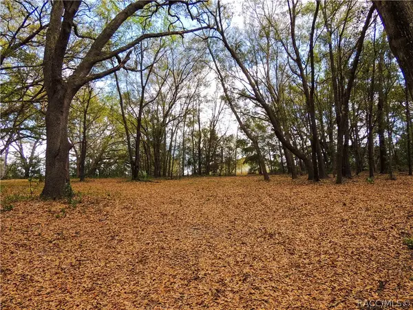 0000 Piney Ridge Boulevard, Fruitland Park, FL 34731