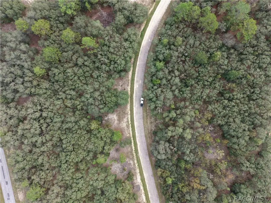 1379 W Hialeah Drive, Citrus Springs, FL 34434 - #2