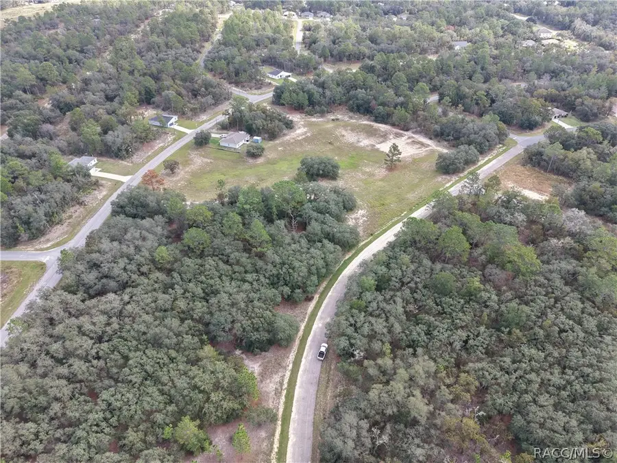 1379 W Hialeah Drive, Citrus Springs, FL 34434 - #3