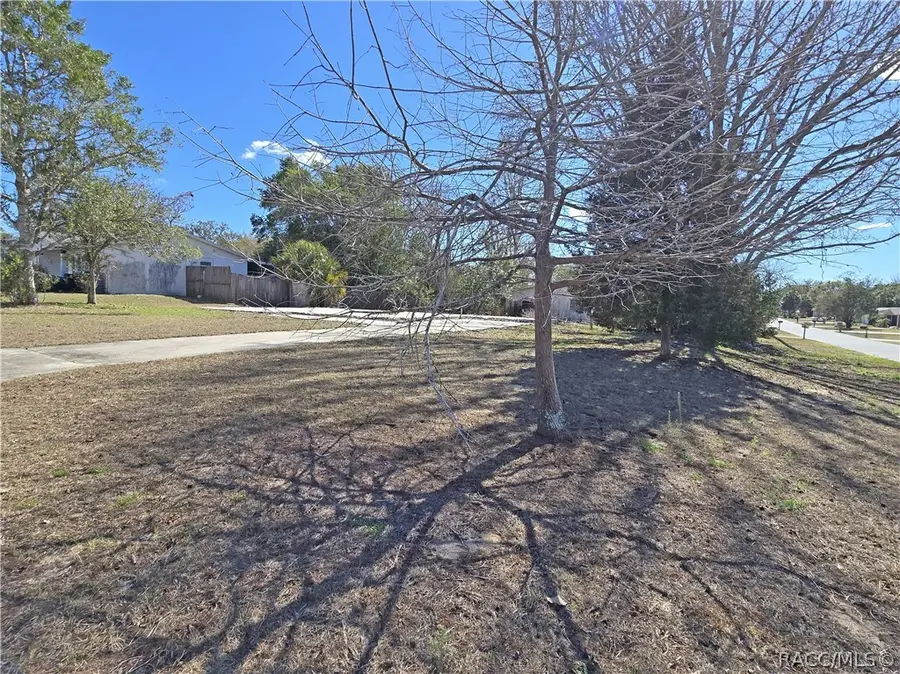 14 Clifford Drive, Beverly Hills, FL 34465 - #2