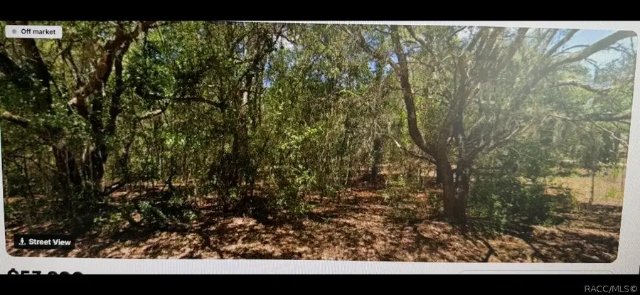 4430 N Wigwam Terrace, Beverly Hills, FL 34465 - #2