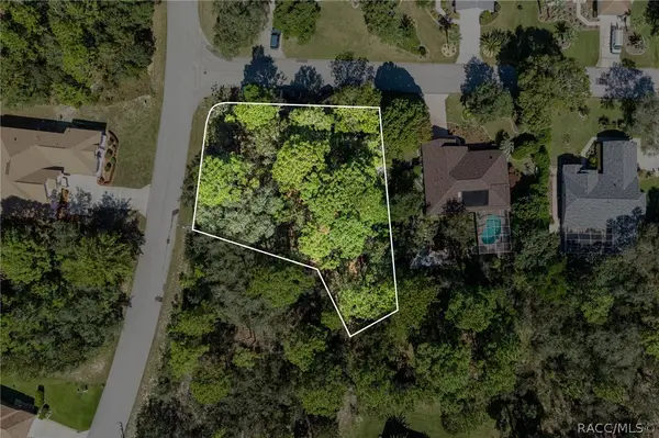 2 Ipomoea Court, Homosassa, FL 34446