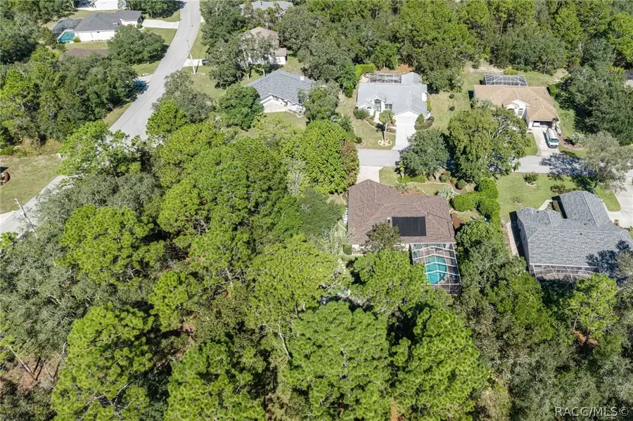 2 Ipomoea Court, Homosassa, FL 34446 - #2