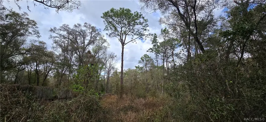 3491 E Stage Coach Trail, Inverness, FL 34452 - #3