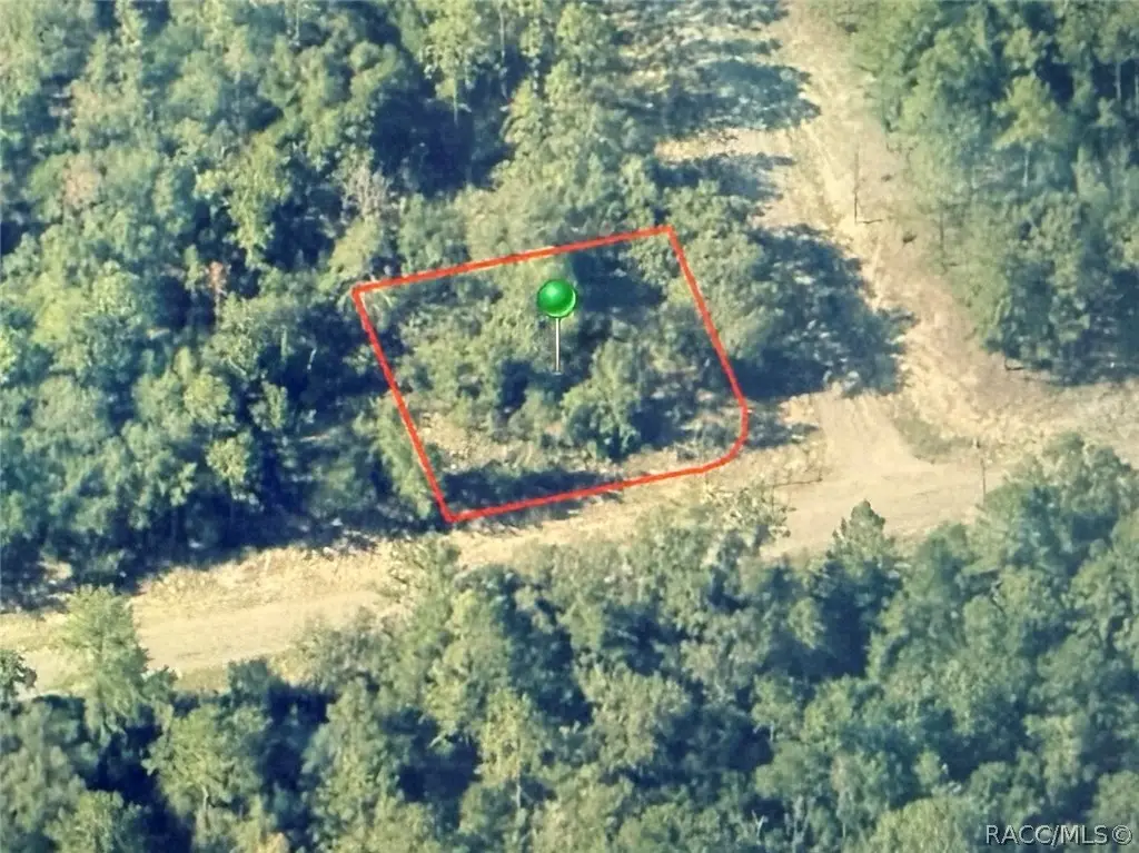 746 E Elston Place, Citrus Springs, FL 34434 - #1