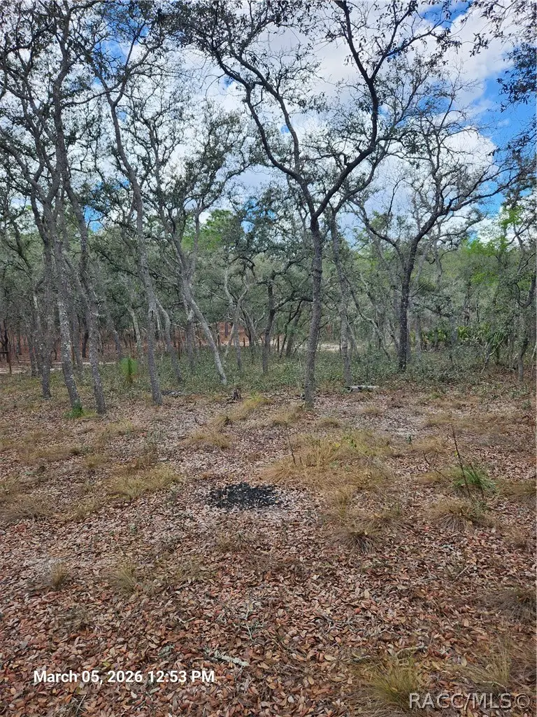 5686 Butan Point, Homosassa, FL 34446 - #2